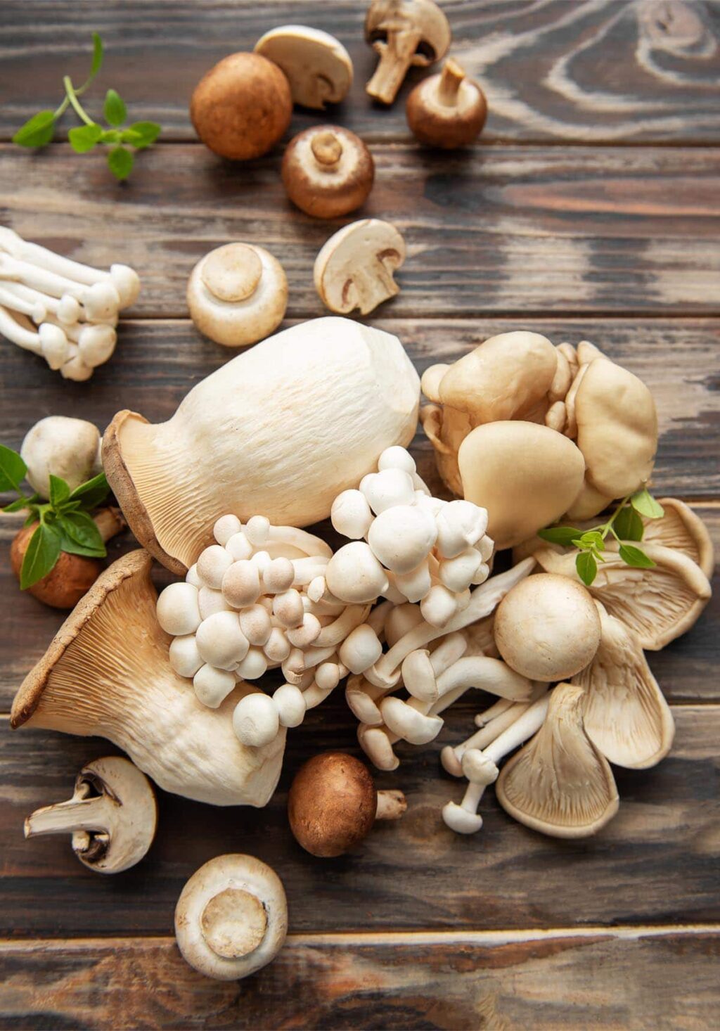 Types Of Mushrooms: 30 Varieties With Pictures