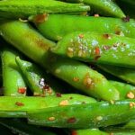 Stir Fry Snap Peas in Soyaki Sauce - Fast and